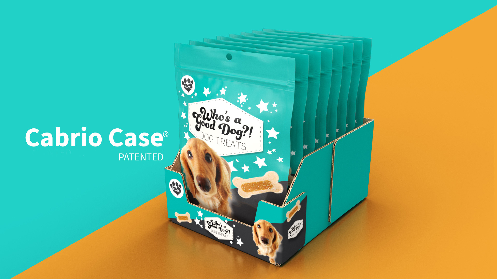 A photo of dog treats in a Delkor Cabrio Case sits on a teal and yellow background