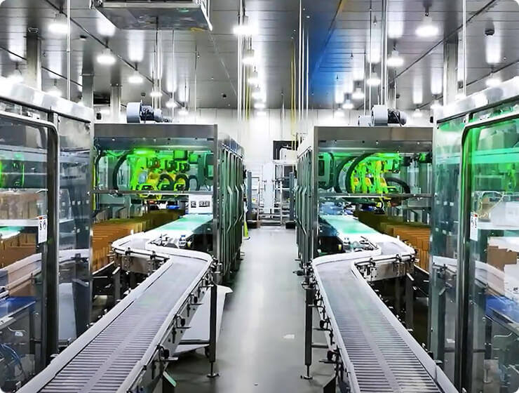 A photograph of two Delkor packaging equipment lines side by side in a greenfield production facility.
