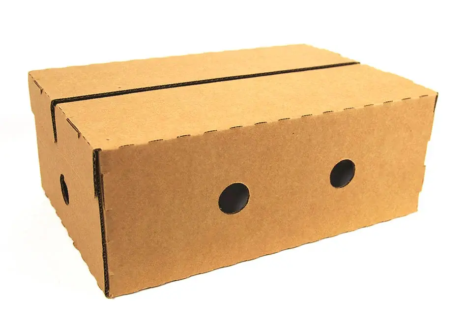 Case Pack