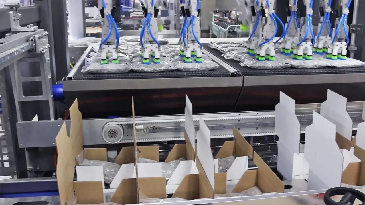 MSP Series Case Packer Cases with Product