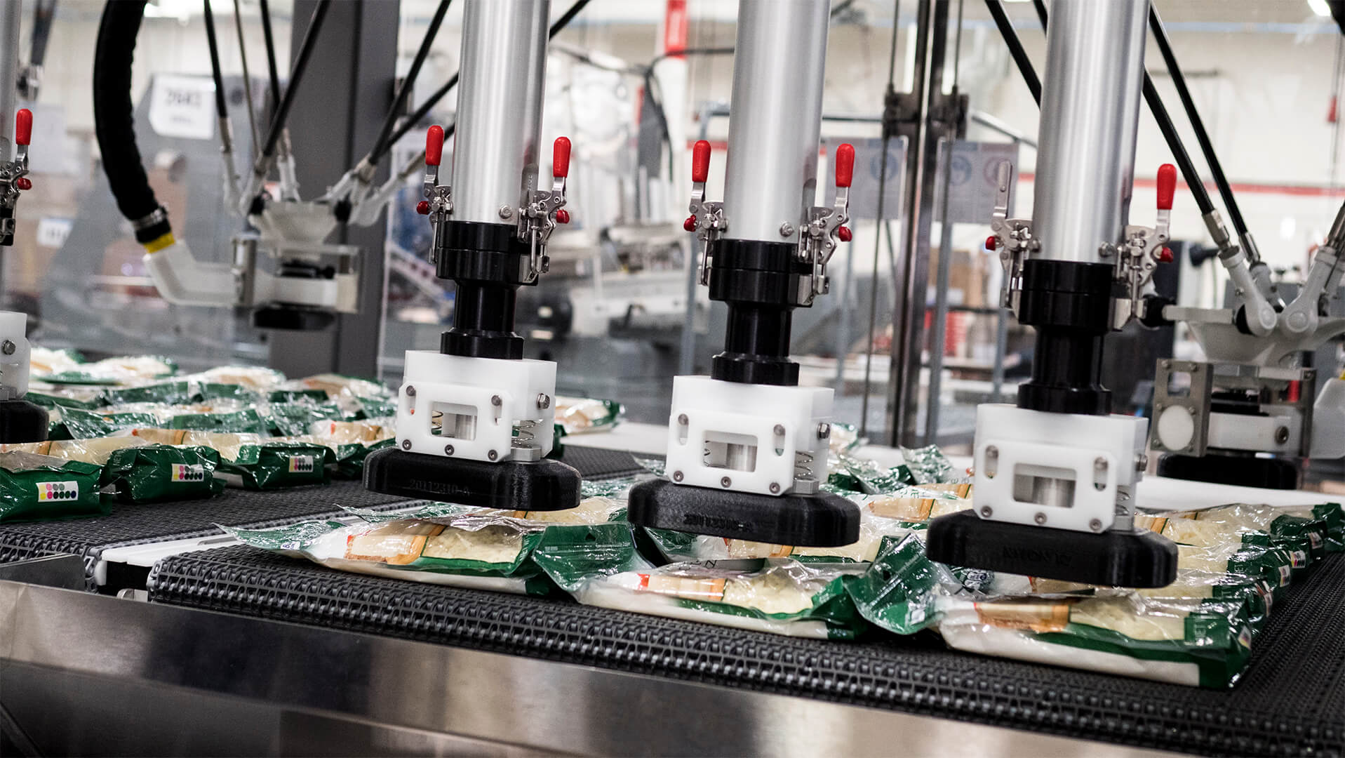MSP Series Case Packer Interior Pickers