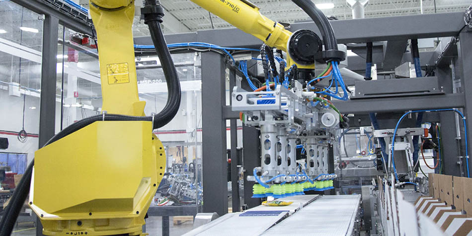 Caseload automated case packing using Delkor robotic packers