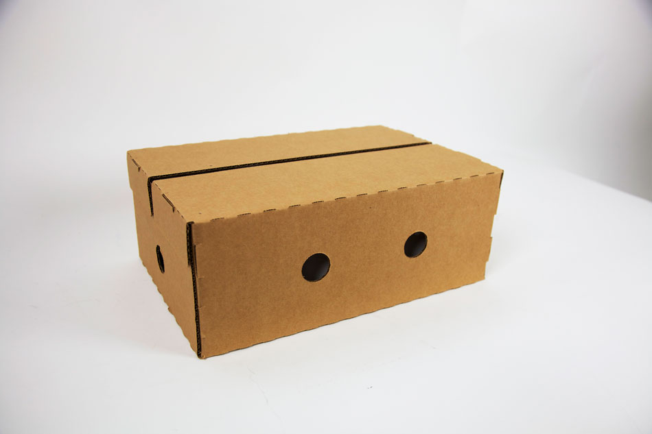 dairy packaging RSC case dairy packaging RSC case