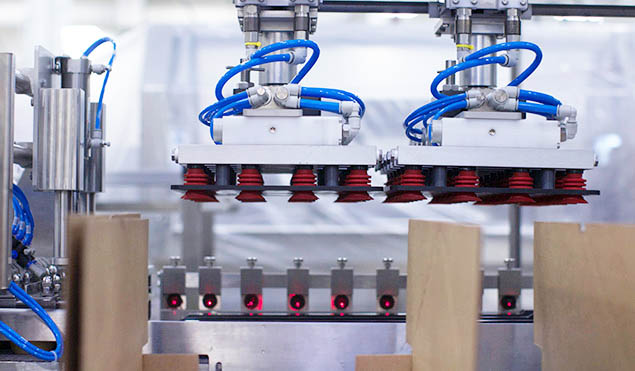 Flexible case packer pick up heads
