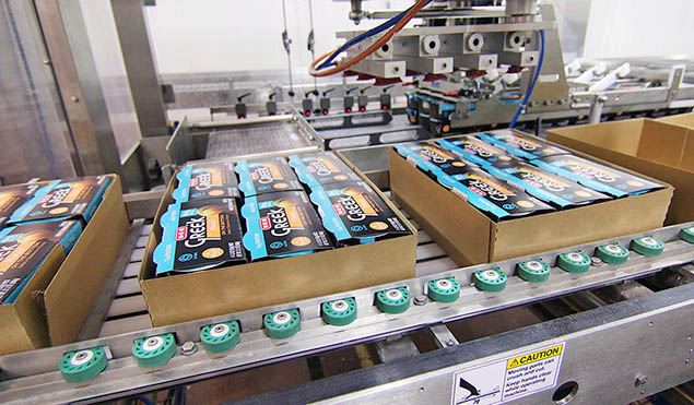 Flexible case packer capable of packing sleeved products