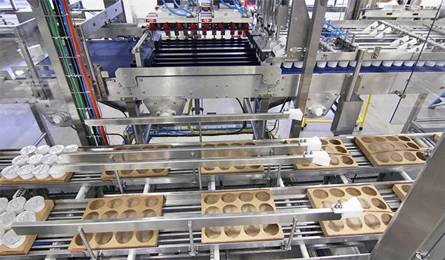 Flexible case packer ideal for packing cut out trays