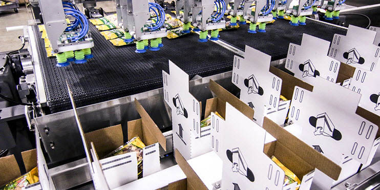 High speed case packer with linear servo technology and gantry robotics