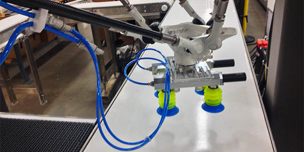 Pick and place robot that utilizes reflex style picking to pick up multiple products between each cycle to the carton Pick and place robot that utilizes reflex style picking to pick up multiple products between each cycle to the carton