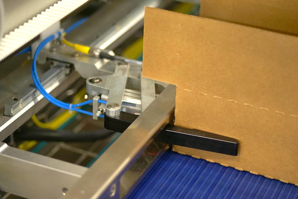 Robotic case packer case holder