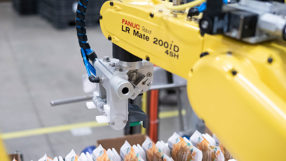 Spouted pouch cartoner with FANUC IRvision technology Spouted pouch cartoner with FANUC IRvision technology