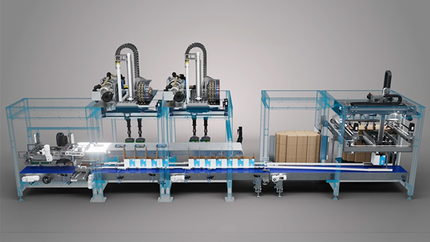 EVO Series Case Packer Robotics Gallery