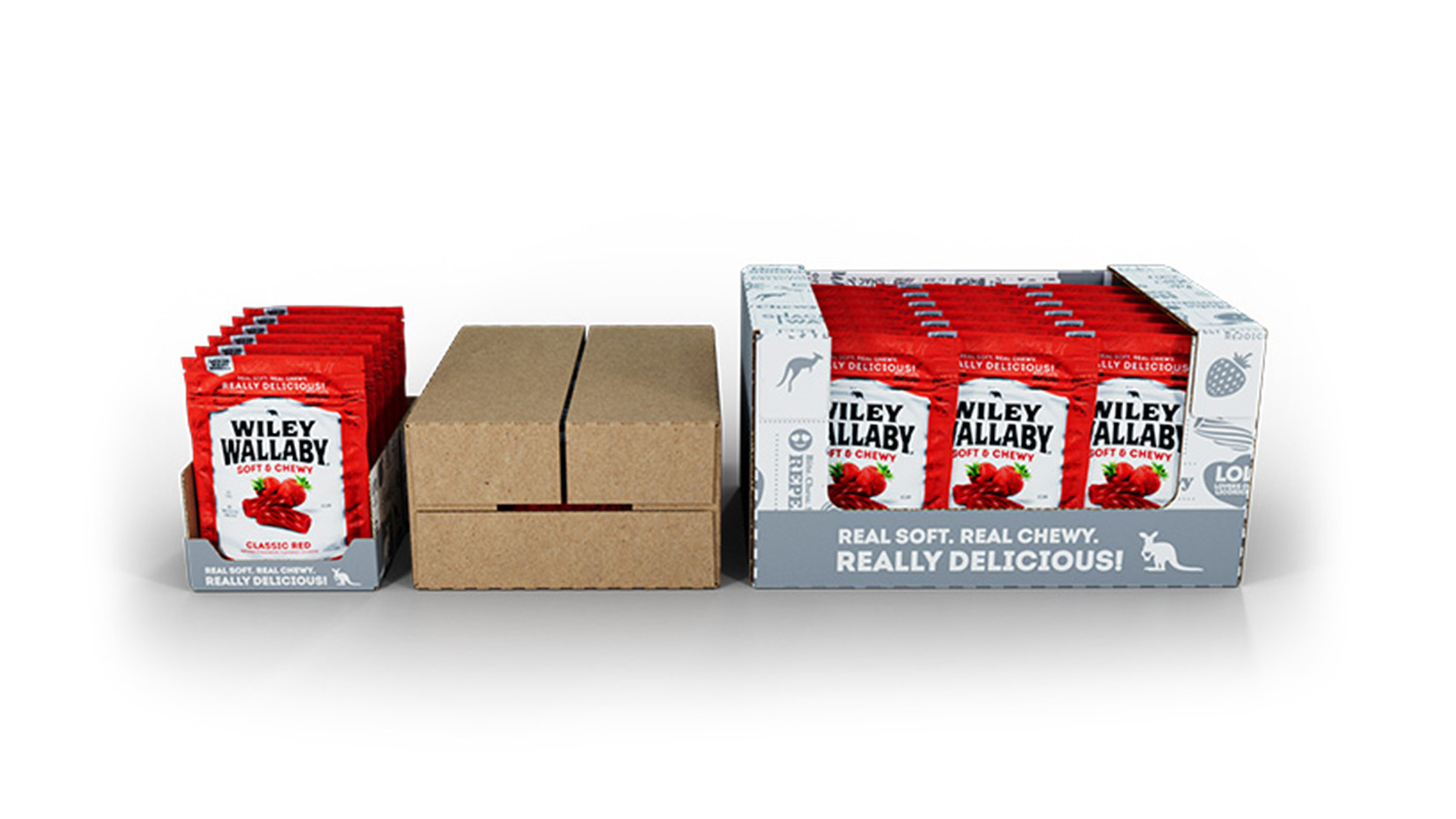 HSP Series Case Packer All Shipper Styles Candy Gallery