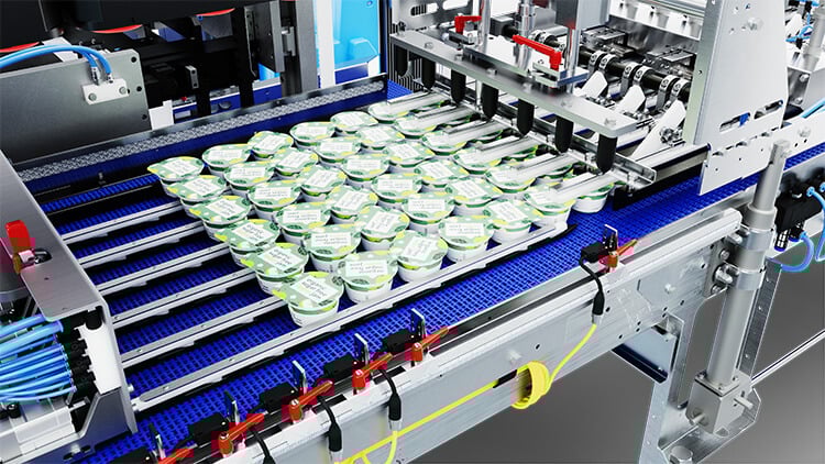 High Performance Case Packer Stabilizer